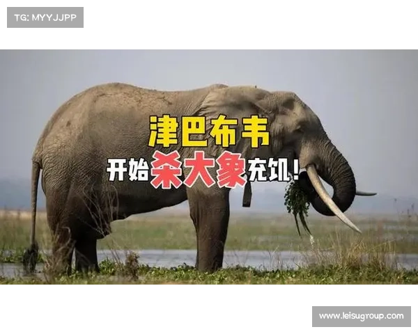 非洲足联取消津巴布韦主场资格因设施不符合标准引发关注